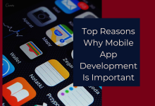Top Reasons Mobile App Development is Important for Businesses