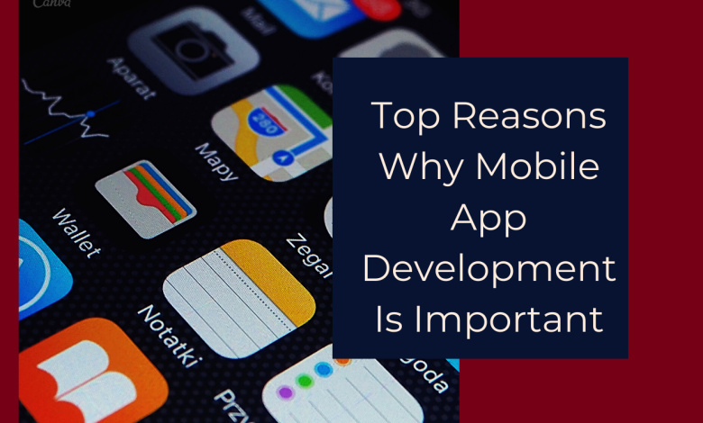 Top Reasons Mobile App Development is Important for Businesses