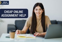 Online Assignment Help