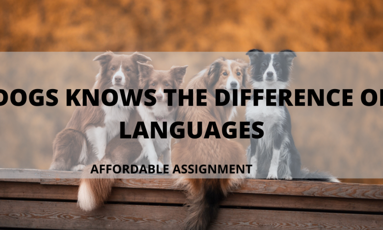 DOGS KNOWS THE DIFFERENCE OF LANGUAGES