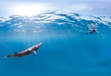 google underwater