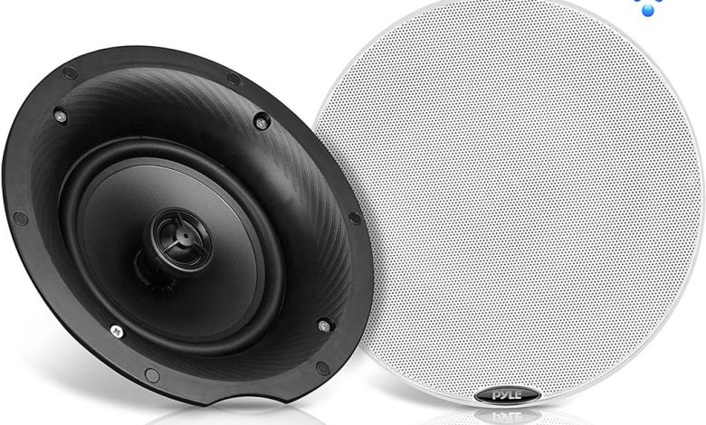 Wall Speaker