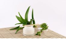 Aloe Vera Butter: Conditioner in the hair acts as a moisturiser on the face, learn how to make