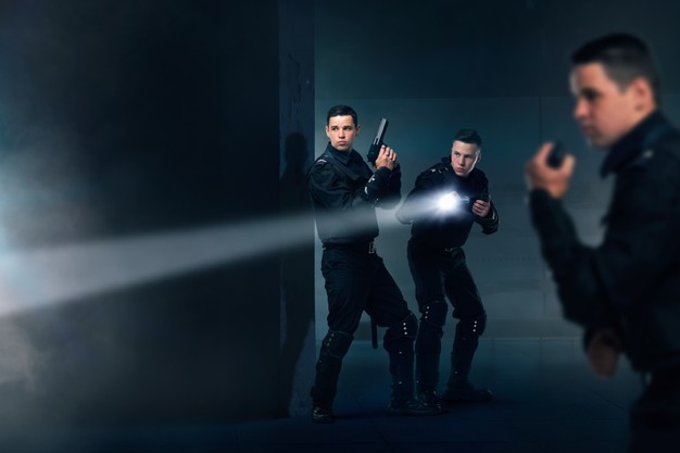 Armed Security Officers