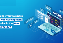 Web app development