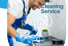 professional window cleaning in mesa