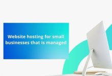 Website hosting for small businesses that is managed