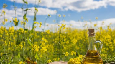 canola oil plant suppliers