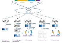 patented-faseba-screening-platform