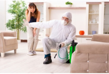 Pest Control Melbourne