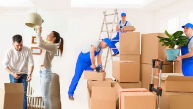 Choose Packers and Movers to Move Your Specialty Items
