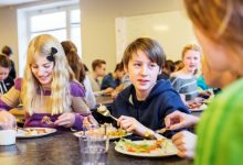 hot lunches for school