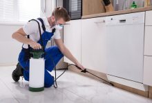 Pest Control Toronto