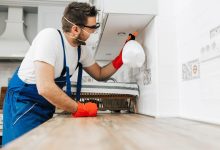 Pest Control in Oshawa