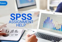 SPSS Assignment Help