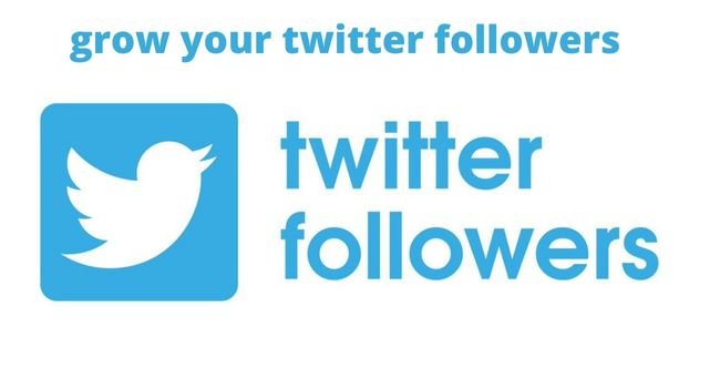 grow your twitter followers