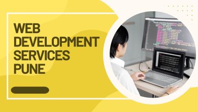 web development services pune