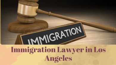 Immigration Lawyer in Los Angeles
