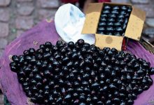 Jamun Cultivation
