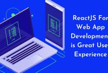 ReactJS For Web App Development is Great User Experience