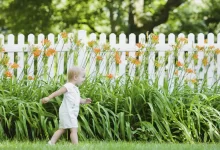 How to Choose the Right Decorative Fencing for Your Home