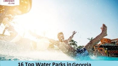 16 Top Water Parks in Georgia